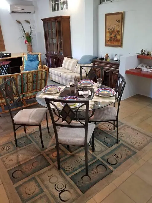 Flower Of Joy Wellness Villa - Hillview Sanctuary Apartment Saint Elizabeth